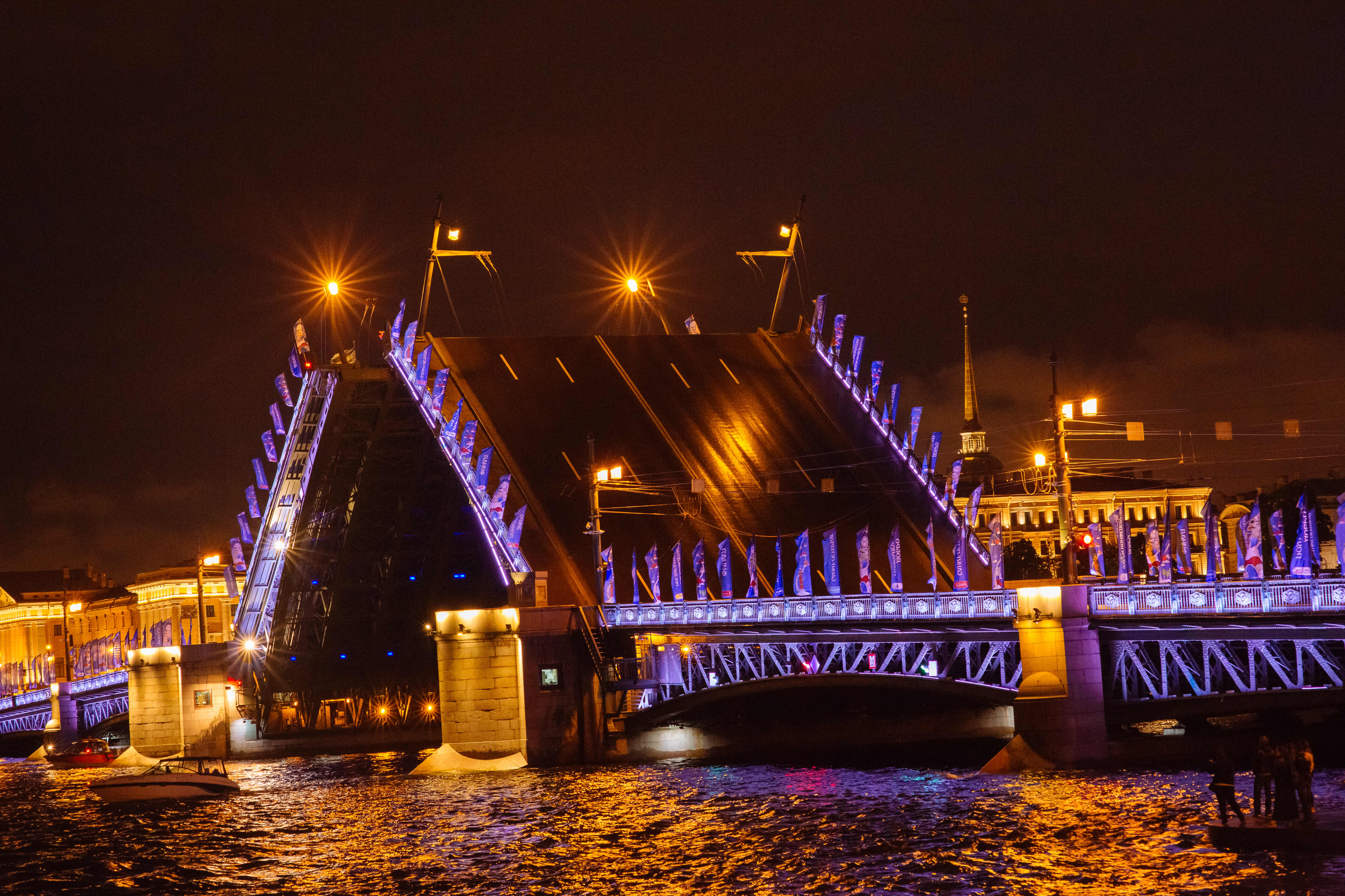 Мосты Санкт-Петербурга
